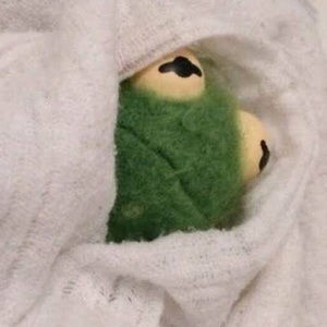 Meet your Posher, Mel